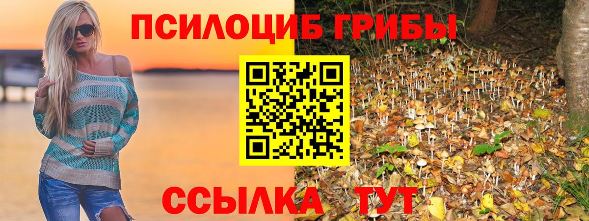 Галлюциногенные грибы Magic Shrooms Коммунар